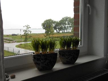 Wohnbereich mit Ostseeblick