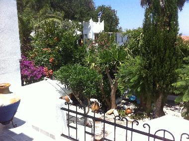 Terrasse App. "Aphroditi"