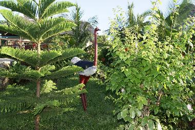 Eingang Grundst�ck mit Mbuni (Strau�envogel )