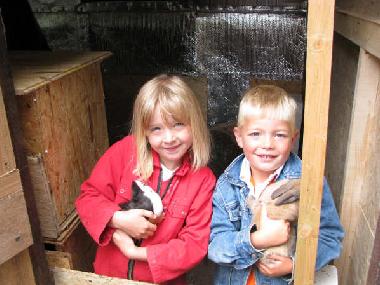 Ferienhaus in Hellenthal (Eifel und Region Aachen) oder Ferienwohnung oder Ferienhaus