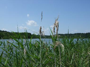 Krutinnensee/Jezioro Krutynskie