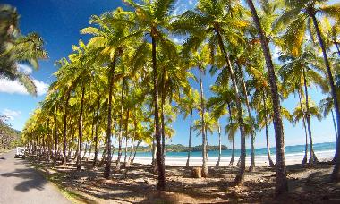 Carillo Strand in unmittelbarer N�he