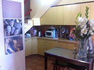 Ferienwohnung in Tel Aviv (Tel Aviv) oder Ferienwohnung oder Ferienhaus