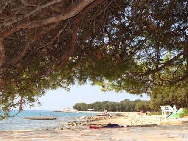 Ferienwohnung in Petrcane/Zadar (Zadarska) oder Ferienwohnung oder Ferienhaus