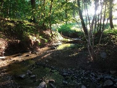 der Kreidebach in der Brunnenaue hinter der Ferienwohnung