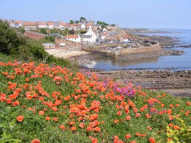 Ferienhaus in Blairgowrie (Eastern Scotland) oder Ferienwohnung oder Ferienhaus