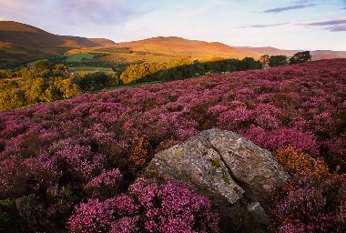 Ferienhaus in Blairgowrie (Eastern Scotland) oder Ferienwohnung oder Ferienhaus