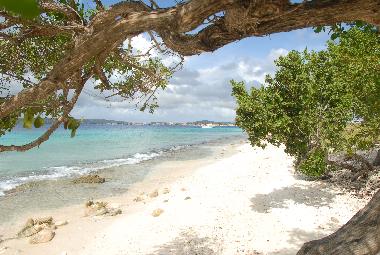 Ferienwohnung in Kralendijk (Bonaire) oder Ferienwohnung oder Ferienhaus