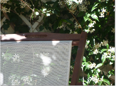 Ferienhaus in Calvi (Haute-Corse) oder Ferienwohnung oder Ferienhaus