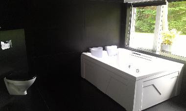 Ferienhaus in Holl�selund (Vestsjalland) oder Ferienwohnung oder Ferienhaus