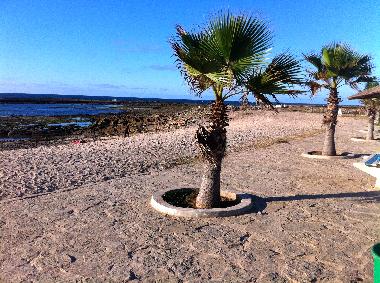 Ferienhaus in Casablanca (Casablanca) oder Ferienwohnung oder Ferienhaus