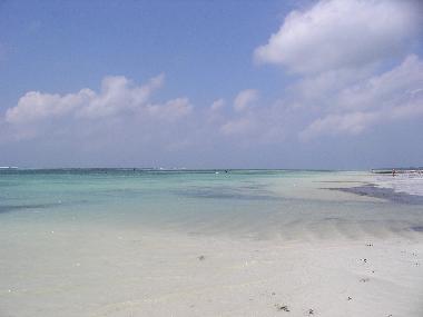 Strand von Diani