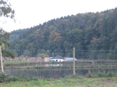 Umgebung des Hauses