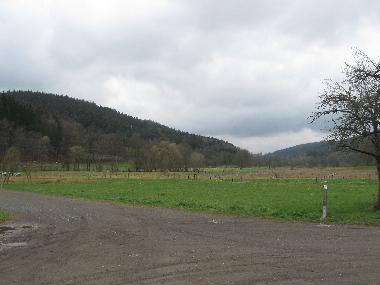 Umgebung des Hauses.
