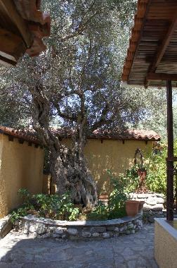 Ferienhaus in Fokida (Fokida) oder Ferienwohnung oder Ferienhaus