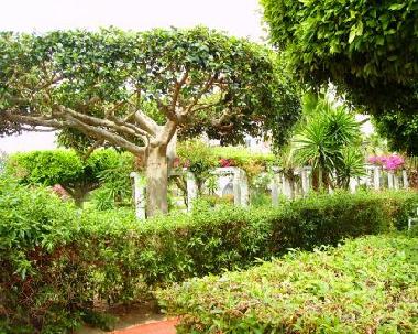 Parkanlage Laguna Beach