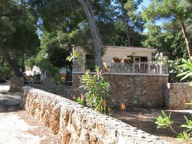 Ferienhaus in Zavala (Splitsko-Dalmatinska) oder Ferienwohnung oder Ferienhaus