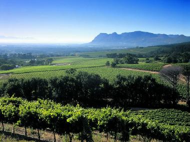 Constantia Tal