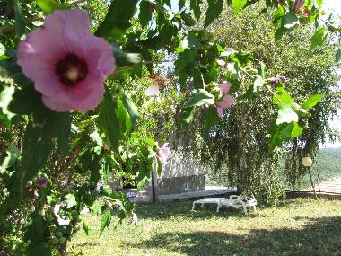 Villa in Gavenola - Borghetto D