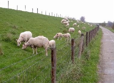 Wander- und Fahrradwege am Deich