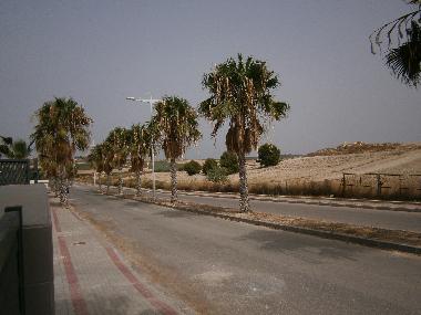 Ferienhaus in Algorfa (Alicante / Alacant) oder Ferienwohnung oder Ferienhaus