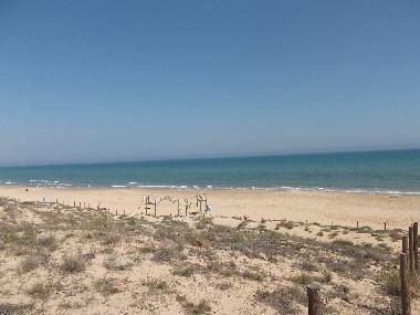 Ferienhaus in Algorfa (Alicante / Alacant) oder Ferienwohnung oder Ferienhaus