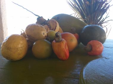 Ferienhaus in Icapui (Ceara) oder Ferienwohnung oder Ferienhaus