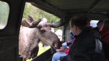 Kontakt Email: tribun1310@aol.com 