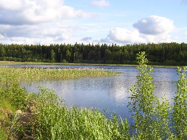 w w w . s c h w e d e n - w a l d h a u s . j i m d o . c o m 