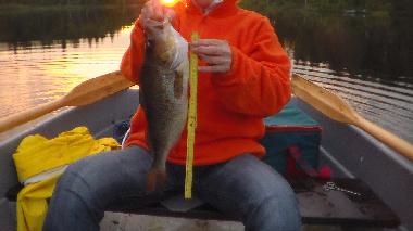 w w w . s c h w e d e n - w a l d h a u s . j i m d o . c o m 