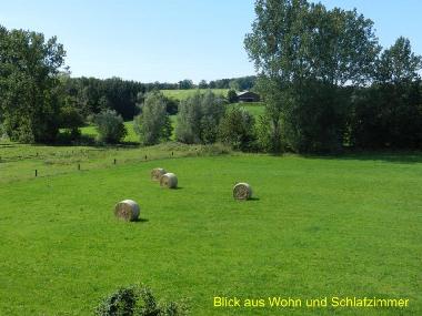 Ferienwohnung in Schieder (Teutoburger Wald) oder Ferienwohnung oder Ferienhaus