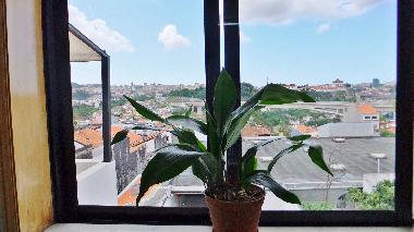 Ferienwohnung in Porto (Norte) oder Ferienwohnung oder Ferienhaus