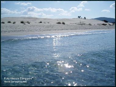 Sand Dunas Porto Pino