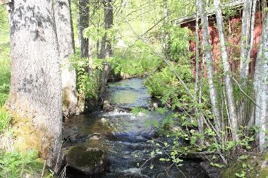 Ferienhaus in Gr�smark (V�rmland) oder Ferienwohnung oder Ferienhaus