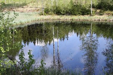 Ferienhaus in Gr�smark (V�rmland) oder Ferienwohnung oder Ferienhaus