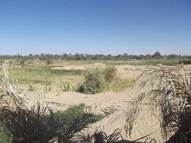 Villa in Siwa (Al Wadi al Jadid) oder Ferienwohnung oder Ferienhaus