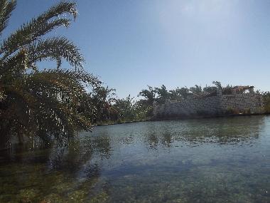 Villa in Siwa (Al Wadi al Jadid) oder Ferienwohnung oder Ferienhaus