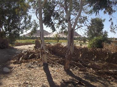 Villa in Siwa (Al Wadi al Jadid) oder Ferienwohnung oder Ferienhaus