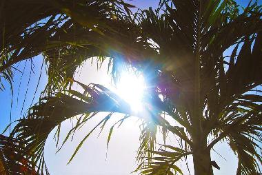 Ferienwohnung in Willemstad (Curacao) oder Ferienwohnung oder Ferienhaus