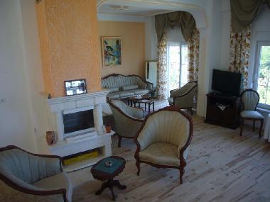 Salonbereich mit Kamin