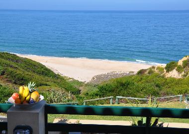 Blick von der Terrasse
