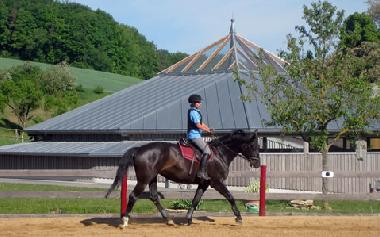 Reitplatz mit Reithalle im Hintergrund