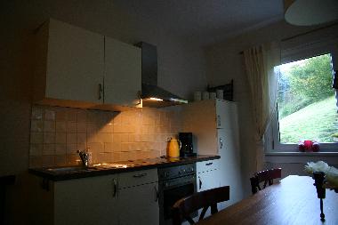 Ferienhaus in Gie�ubel (Th�ringer Wald) oder Ferienwohnung oder Ferienhaus