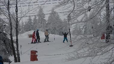 Ferienhaus in Gie�ubel (Th�ringer Wald) oder Ferienwohnung oder Ferienhaus