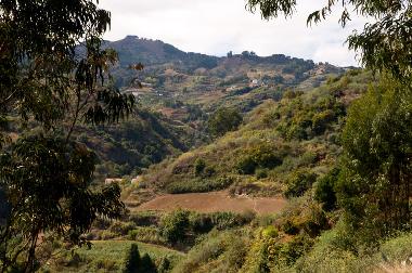Villa in Moya (Gran Canaria) oder Ferienwohnung oder Ferienhaus
