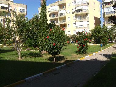 Ferienwohnung in Alanya (Antalya) oder Ferienwohnung oder Ferienhaus