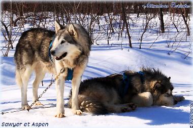 Chalet in Girardville (Quebec) oder Ferienwohnung oder Ferienhaus
