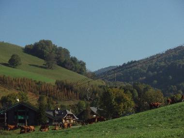 Ferienwohnung in Aillon le jeune (Savoie) oder Ferienwohnung oder Ferienhaus