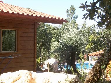 Ferienhaus in Ansiao (Beira Interior Sul) oder Ferienwohnung oder Ferienhaus