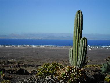 Ferienhaus in Maciot (Lanzarote) oder Ferienwohnung oder Ferienhaus
